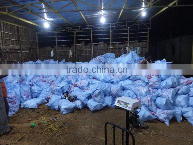 Pollachi Full Husked Cocount