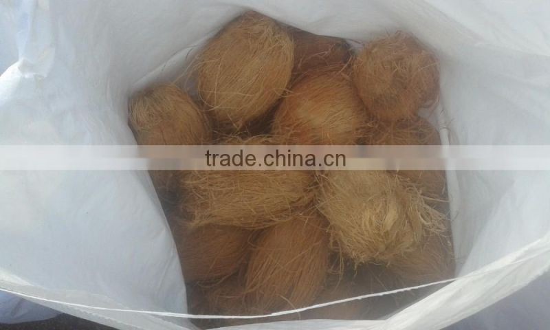 Fresh Semi Husked Matured Cocount