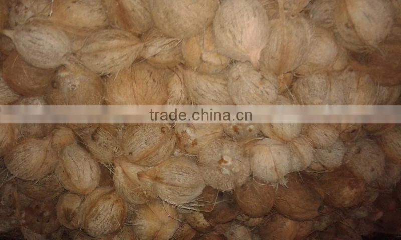 Pollachi Export Quality Cocount
