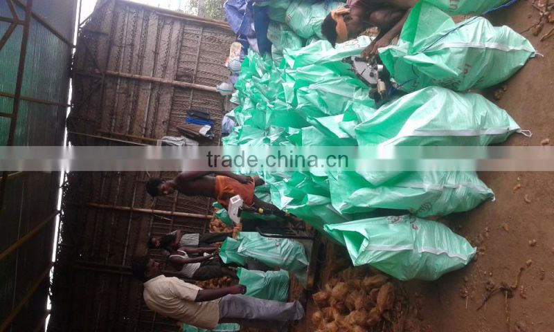 Fresh Mature Cocounts