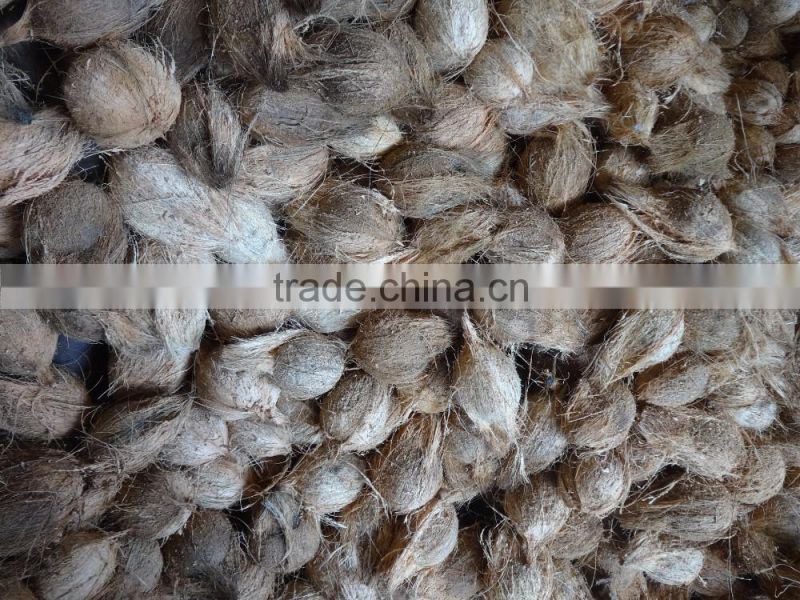 Fresh Semi Husked Matured Cocount