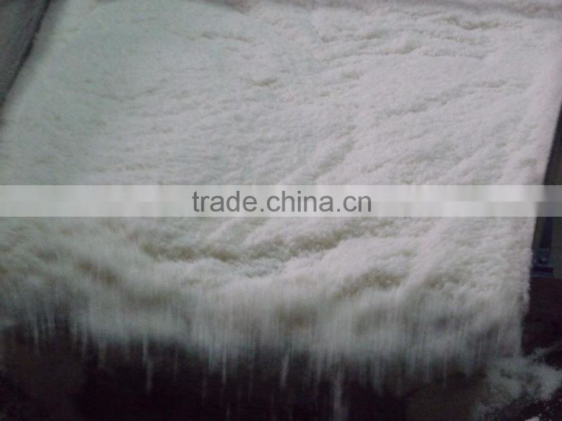 Dried Style and Bulk Packaging HIGH FAT DESICCATED COCONUT POWDER