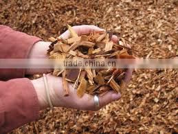 EUCALYPTUS WOOD CHIPS