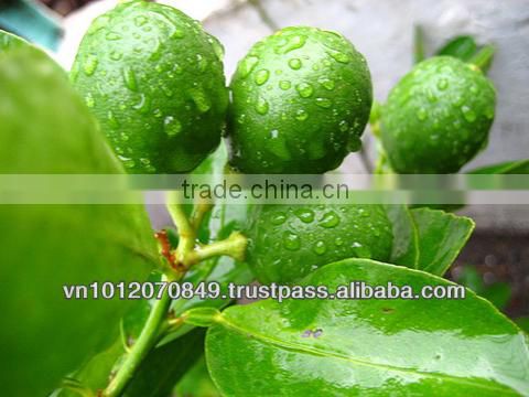 seedless fresh lemon