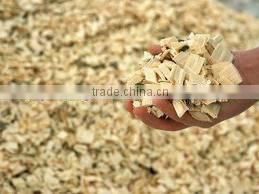 EUCALYPTUS WOOD CHIPS