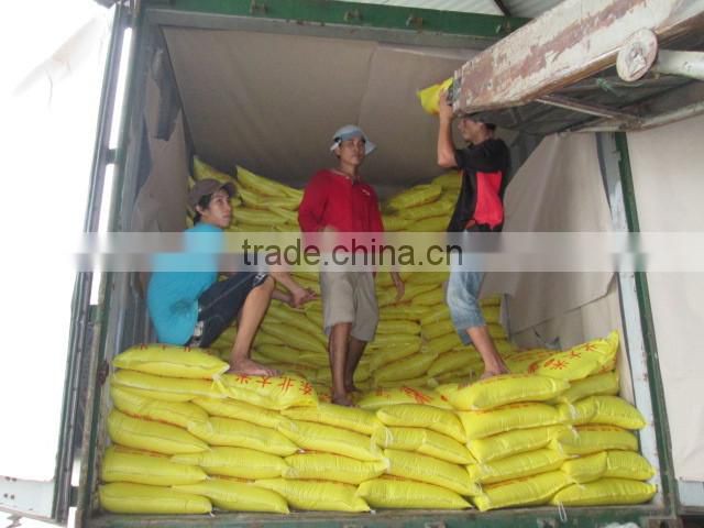 JAPONICA RICE/SUSHI RICE/ROUND RICE/CALROSE RICE/SHORT GRAIN WHITE RICE