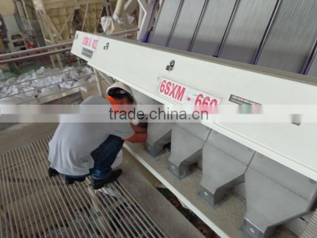 Egyptian Camolino Medium Rice ( Sales@duongvuvn.com)