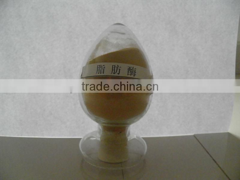 Protease (Feed grade & food grade)