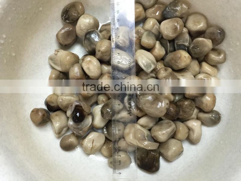 best canned mushrooms straw mushroom canned broken straw mushroom preserved in tin
