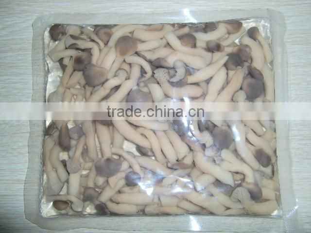 bottle pleurotus mushrooms shimegy mushroom in boiled brined shimeji mushroom