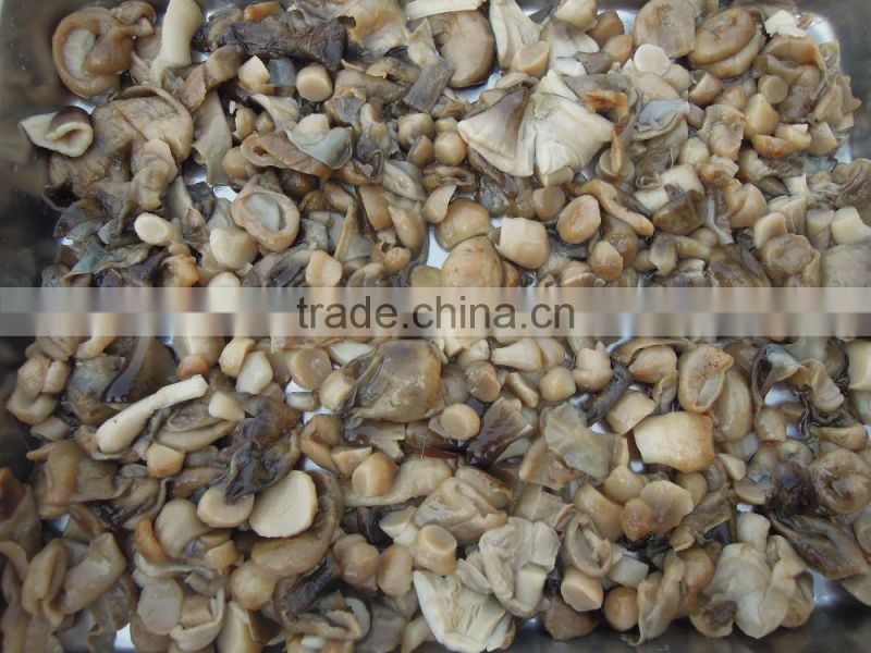 best canned mushrooms straw mushroom canned broken straw mushroom preserved in tin