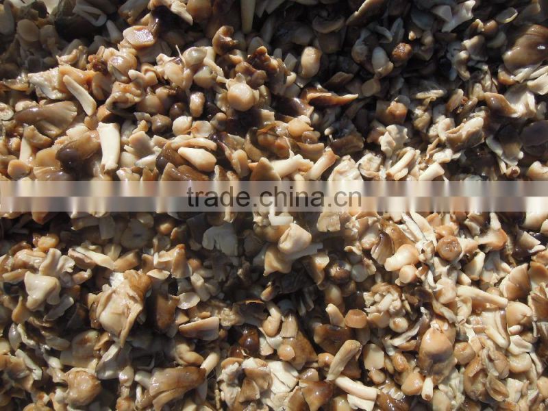 best canned mushrooms straw mushroom canned broken straw mushroom preserved in tin