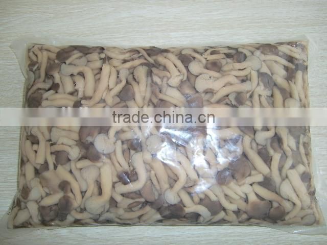 bottle pleurotus mushrooms shimegy mushroom in boiled brined shimeji mushroom
