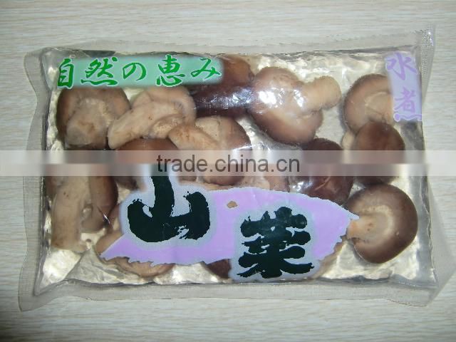 sale shiitake mushrooms in bag lowest price for shiitake mushroom for sale
