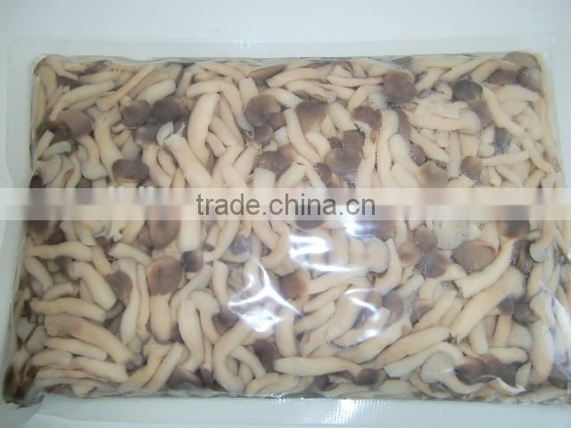 bottle pleurotus mushrooms shimegy mushroom in boiled brined shimeji mushroom
