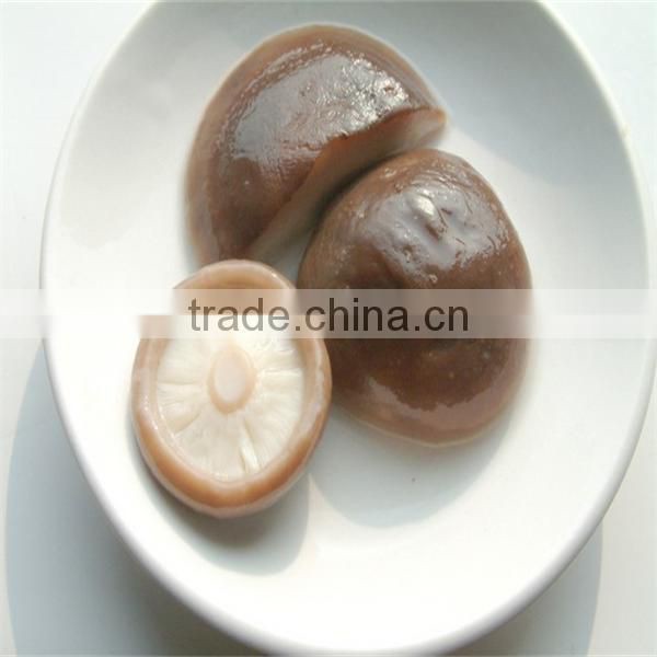 sale shiitake mushrooms in bag lowest price for shiitake mushroom for sale
