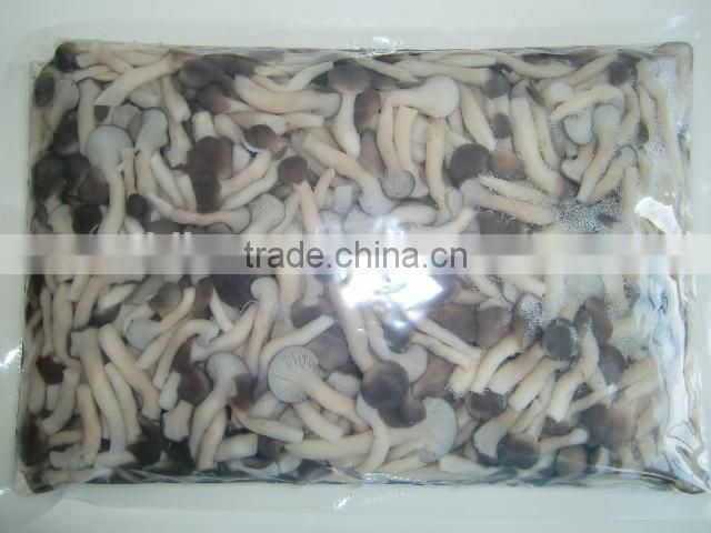 bottle pleurotus mushrooms shimegy mushroom in boiled brined shimeji mushroom