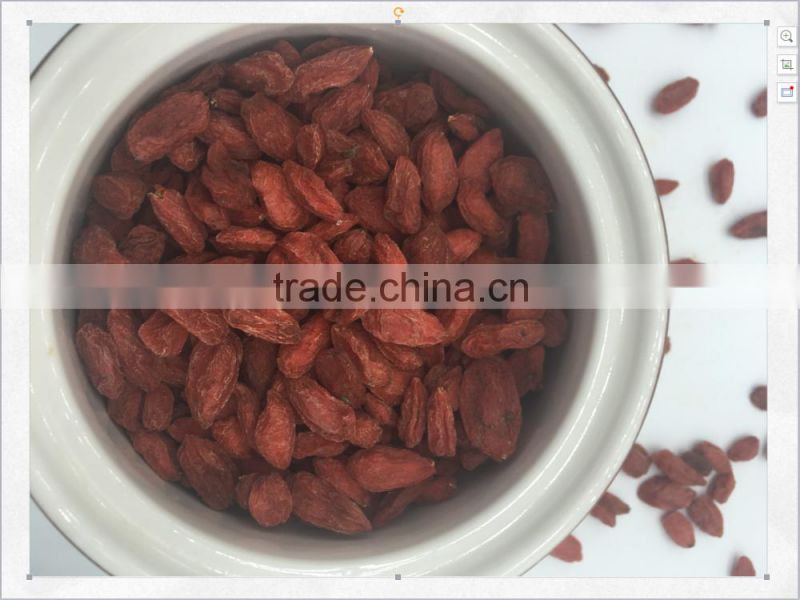 Snack Food Goji Berries Dried