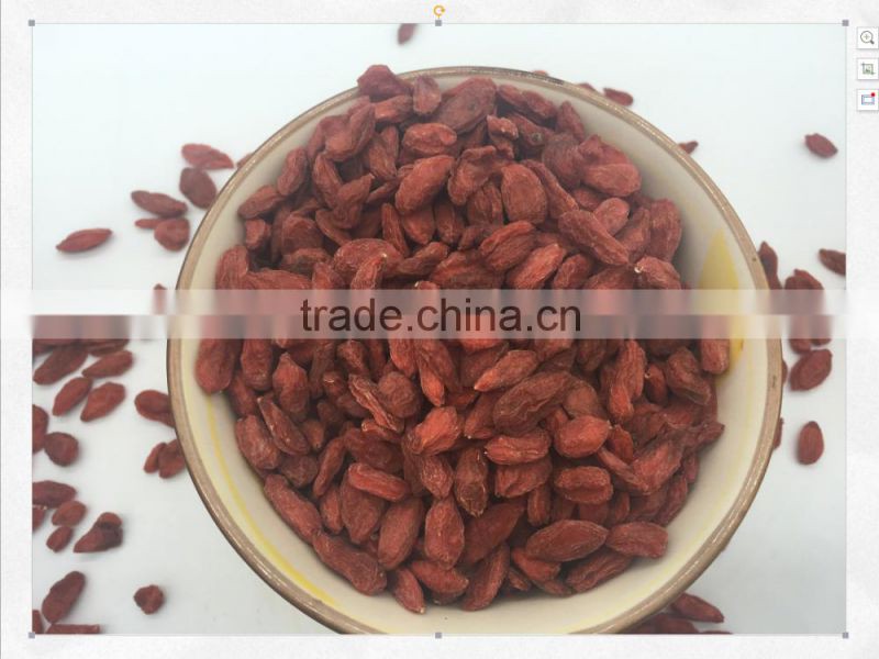 Snack Food Goji Berries Dried