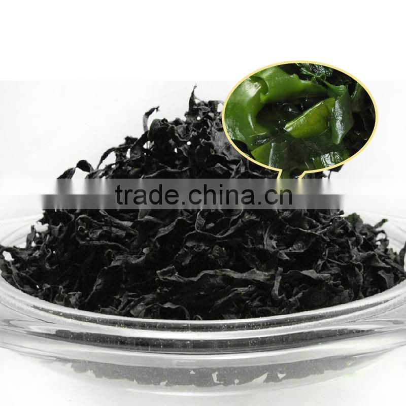 Dried Fresh Edible Green Seaweed