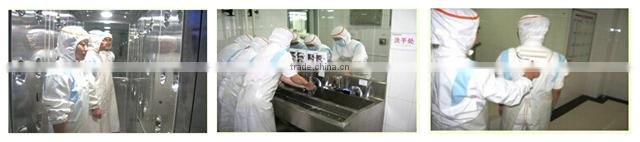 Dried Fresh Edible Green Seaweed