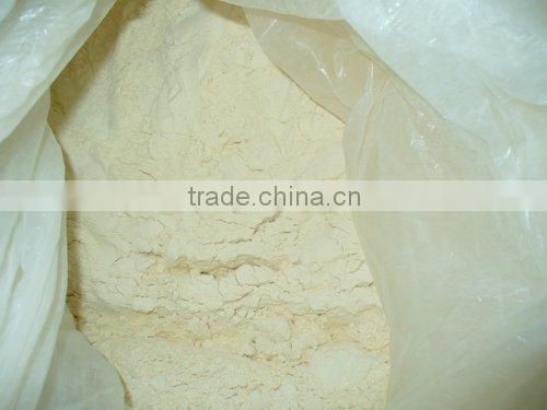 Dehydrate Garlic Powder with white color