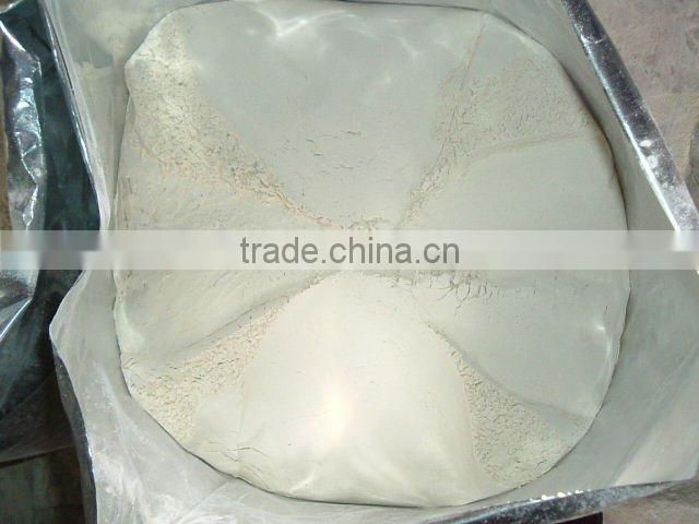 Dehydrate Garlic Powder with white color