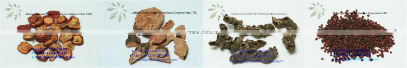 Japanese Pagoda buds Extract