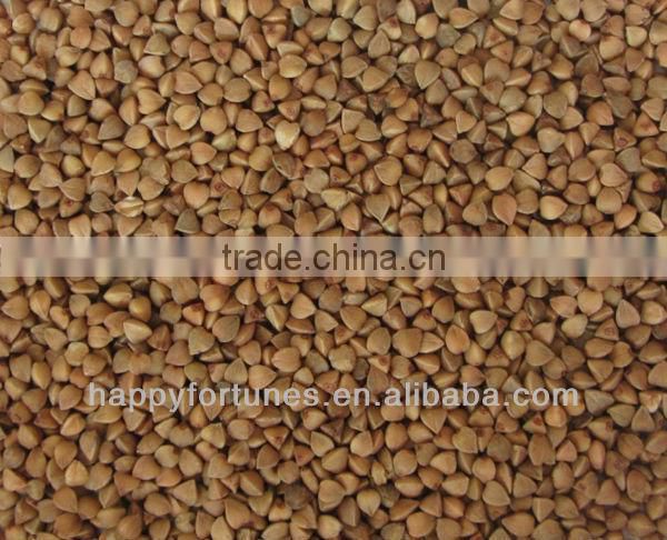 Roasted buckwheat kernels ,Kasha.Roasted buckwheat groats