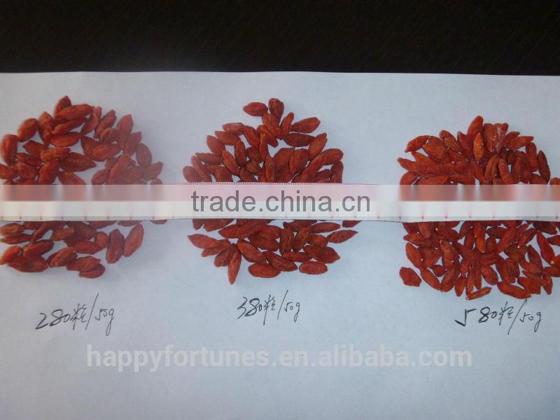 Goji Berry/ Wolfberry