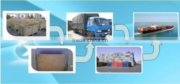 JSX favorable price black gram fair trade food grade black kidney bean