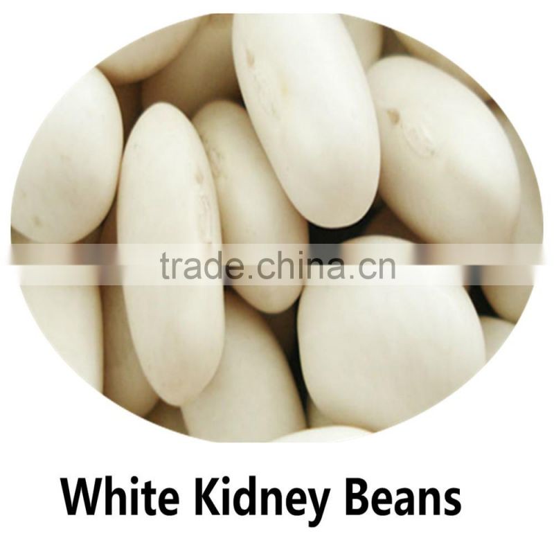 JSX favorable price black gram fair trade food grade black kidney bean