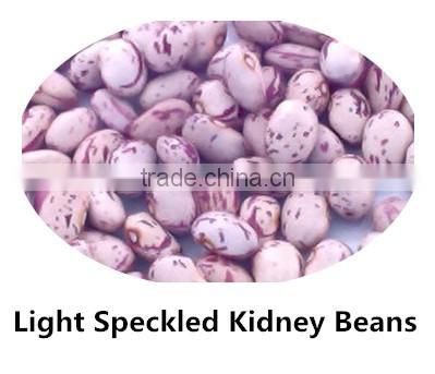 JSX favorable price black gram fair trade food grade black kidney bean