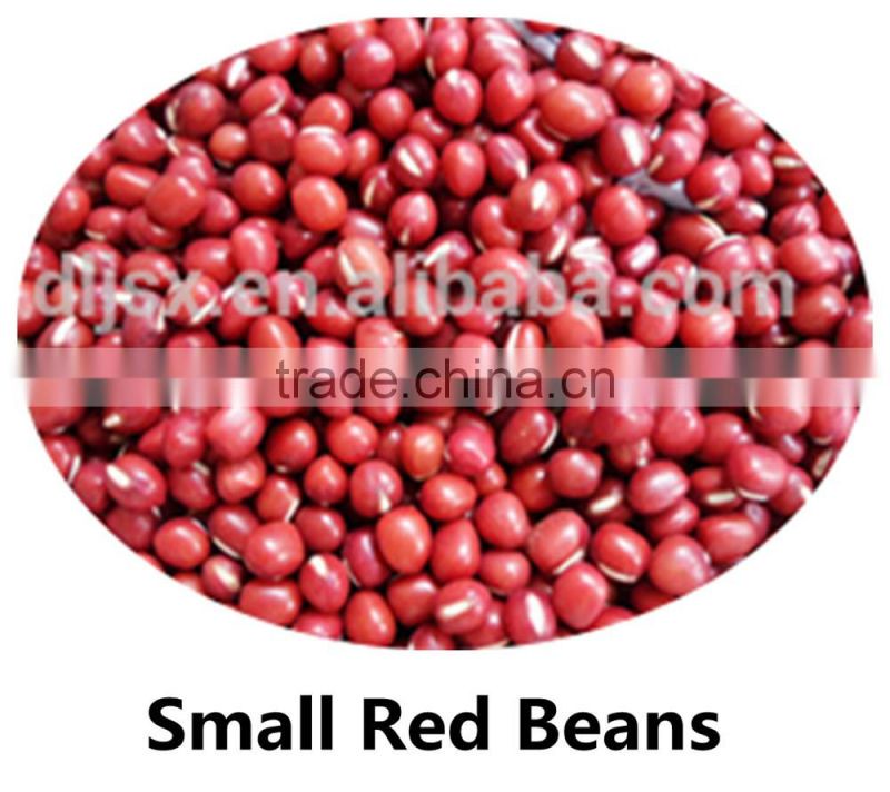 JSX favorable price black gram fair trade food grade black kidney bean