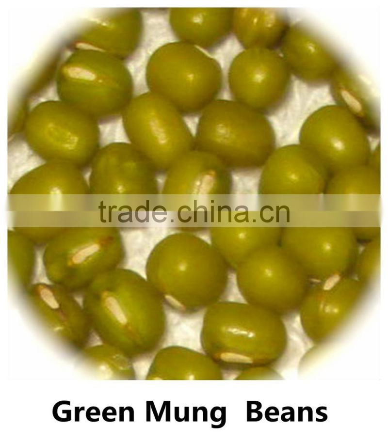 JSX favorable price black gram fair trade food grade black kidney bean