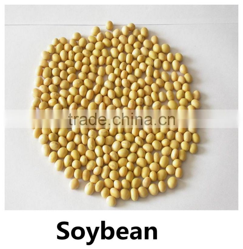 JSX favorable price black gram fair trade food grade black kidney bean