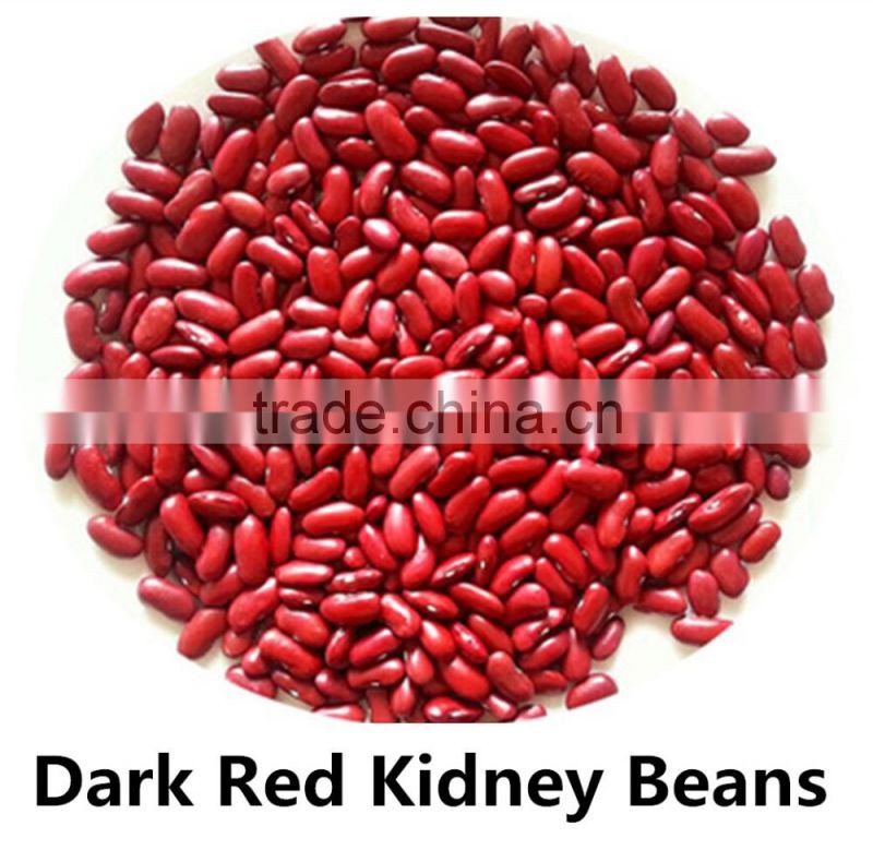 JSX favorable price black gram fair trade food grade black kidney bean