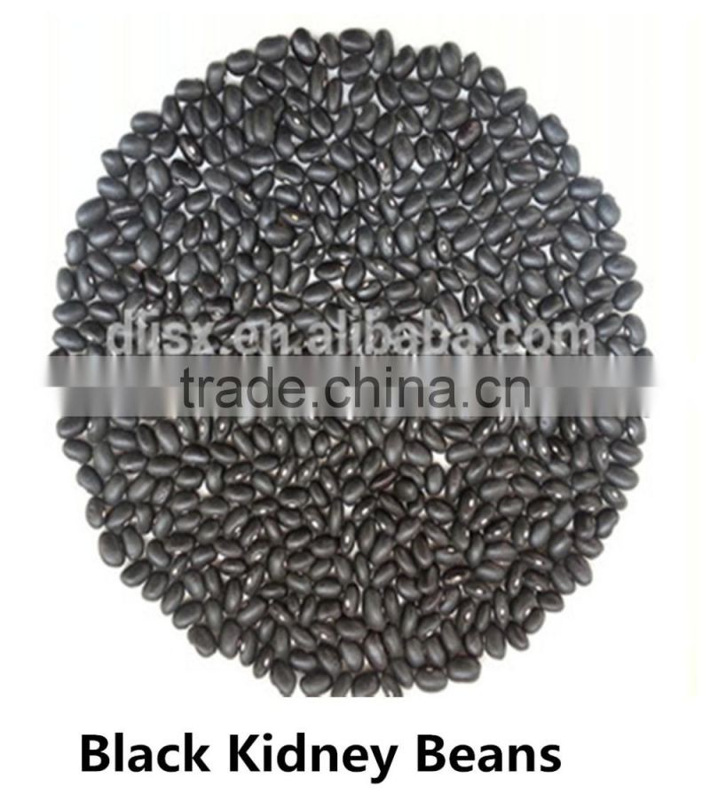 JSX favorable price black gram fair trade food grade black kidney bean