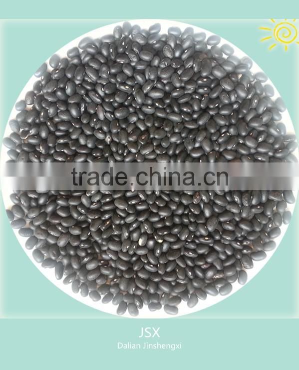 JSX favorable price black gram fair trade food grade black kidney bean