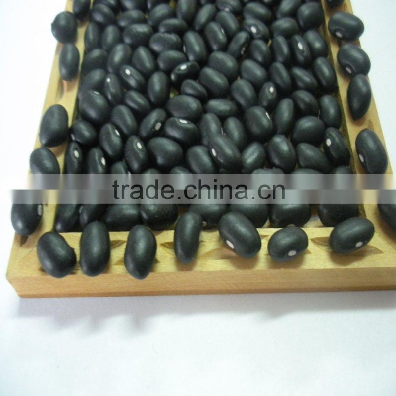 Chinese Small Black Kidney Bean