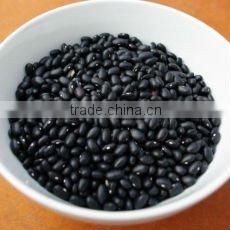 Chinese Small Black Turtle Beans