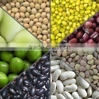 Small Black Kidney Bean