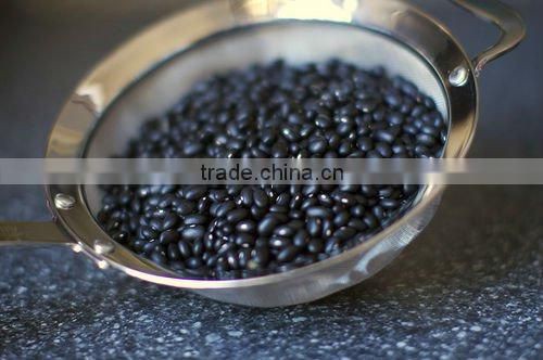 Small Black Kidney Bean