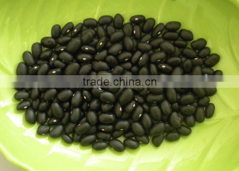 Small Black Kidney Bean