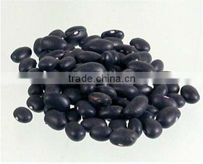 Chinese Small Black Turtle Beans