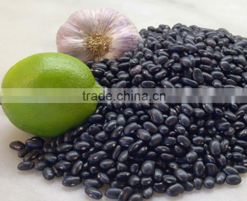 Small Black Kidney Bean