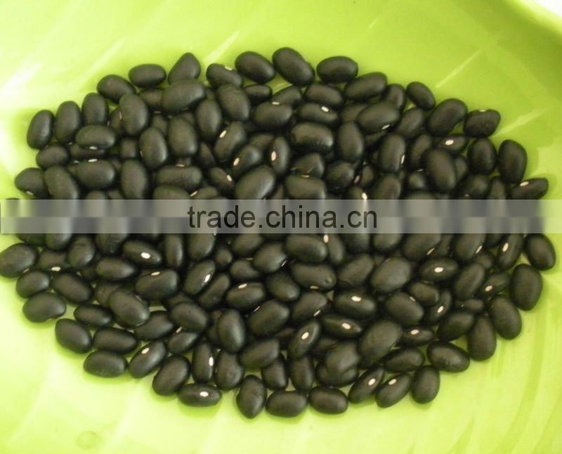 Chinese Small Black Kidney Bean