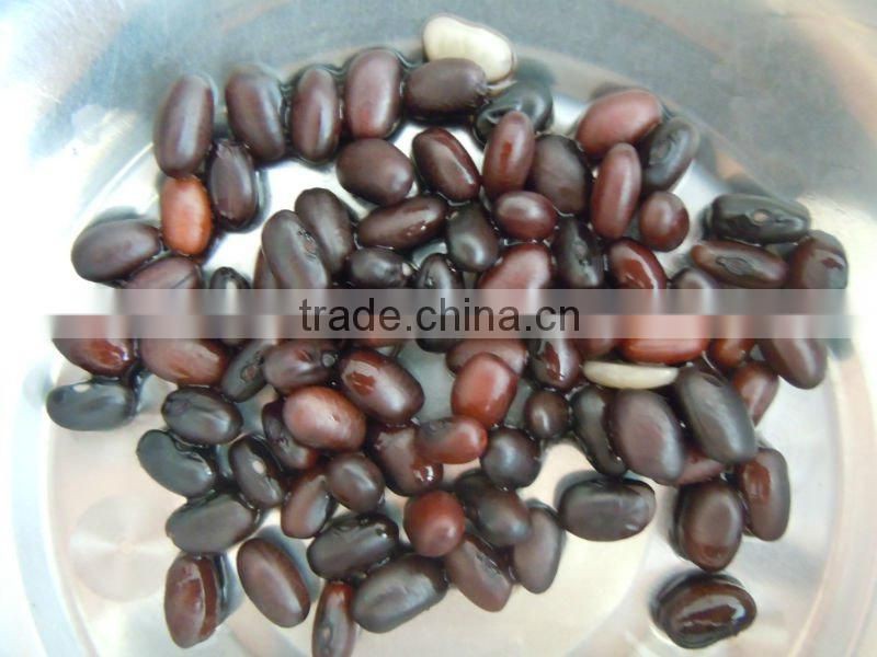 Hight Qulity Black Beans (FACTORY)