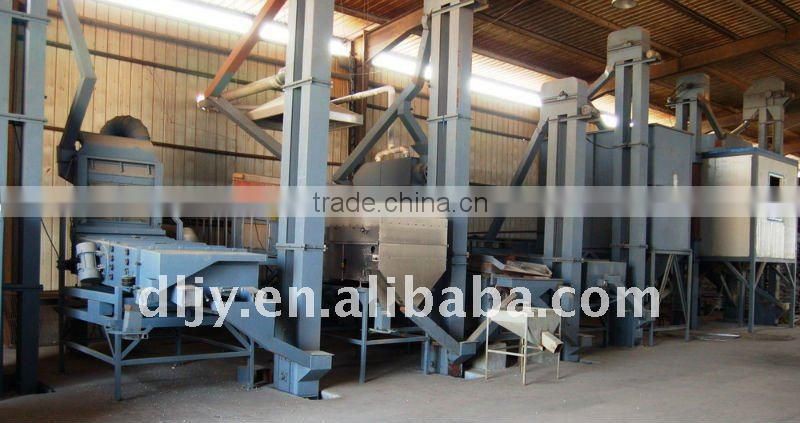 Hight Qulity Black Beans (FACTORY)