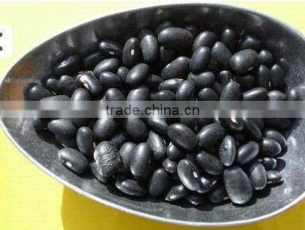 Chinese Small Black Turtle Beans